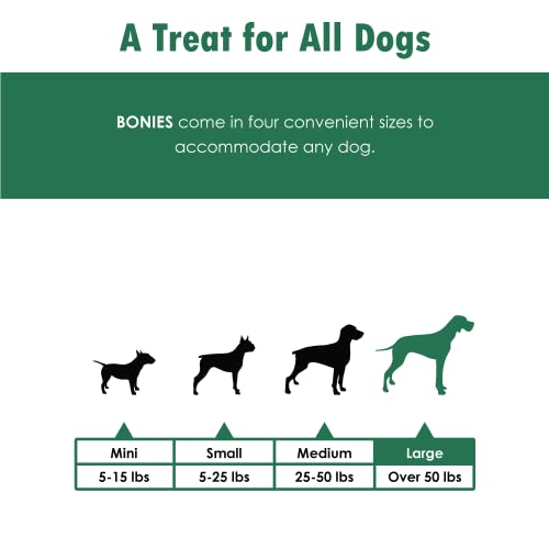 Bonies Natural Dental Health Multi-Pack Large/Regular (5 Bones / 11.15 Oz) #TOP4