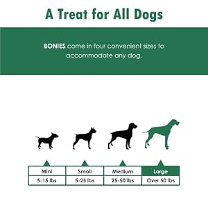 BONIES Natural Calming Formula Regular-Sized Single Bone for Dogs Over 50 LBS - Natural Dog Treats - Healthy Teeth & Fresh Breath - Low Calories - Chicken Flavor - 1 Bone BONIES Natural Calming Formula Regular-Sized Single Bone for Dogs Over 50 LBS – Natural Dog Treats – Healthy Teeth & Fresh Breath – Low Calories – Chicken Flavor – 1 Bone