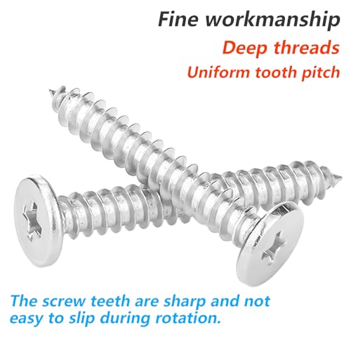 Ctyjia 20 Stück Dünner Selbstschneidende Schrauben, Kreuzschlitz Flachkopf Schrauben, 304 Edelstahl, M2 x 10 mm, Holzschrauben für Reparaturen