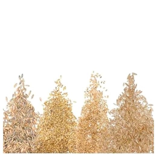 Four-Way Cat Grass Seed Blend