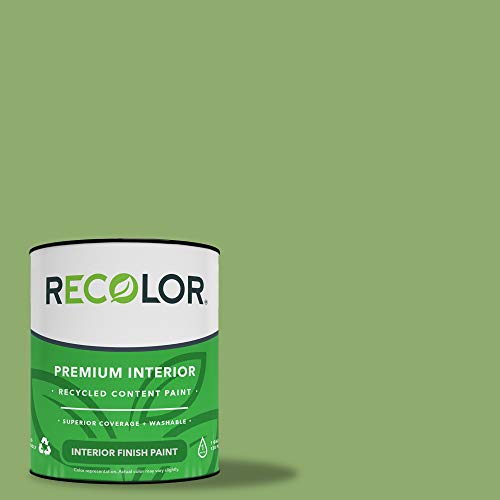 RECOLOR Eco-Friendly Interior Premium Latex Paint for Walls, Furniture and