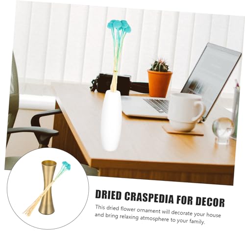 LIFKOME 10 piezas de Craspedia seca para decoración natural miniatura 4