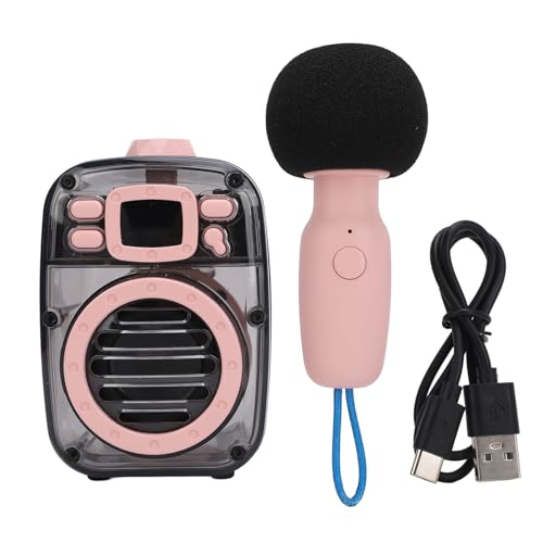 Karaoké portable Bluetooth cadeau idéal pour enfants et adultes
