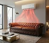 Ambra B0GN3R4BX3 lato 4