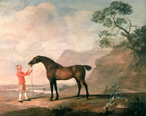 Cuadro Famosa Pintura George Stubbs Scapeflood de Lienzo Modernos 60x90cm