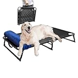 CAREDPETS Elevated Dog Cots Bed Raised w/Bolster for Large XL XXL Jumbo Dogs, Portable Foldable Chew-Resistance Cooling Mesh Indoor & Outdoor Camping Pet Hammock, No Assembly Needed, Black 54x30x8