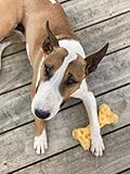 Nylabone Dura Power Chew, Extreme Kauknochen mit Geschmackslöchern, Käsegeschmack, für mittelgroße Hunde bis 16kg, Medium