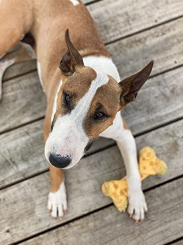 Nylabone Dura Power Chew, Extreme Kauknochen mit Geschmackslöchern, Käsegeschmack, für mittelgroße Hunde bis 16kg, Medium