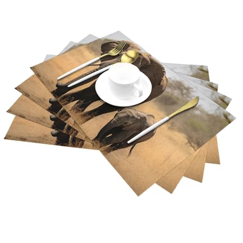 Set de table antidérapant motif éléphant pour protéger la table de cuisine