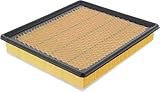 ACDelco GM Original Equipment A3180C (22989313) Air Filter