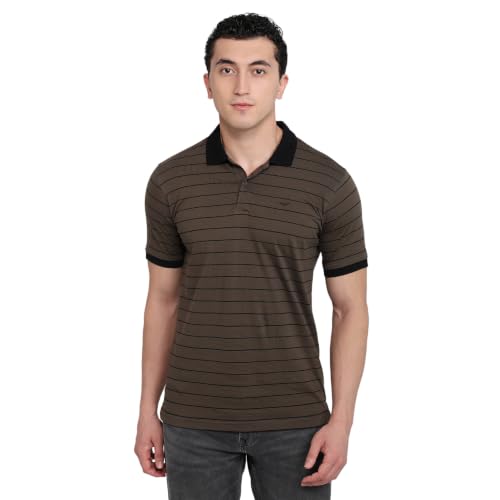 Image of Park Avenue Men Slim Fit Stripe Pattern Pure Cotton Polo Neck Half Sleeve Casual T-Shirt