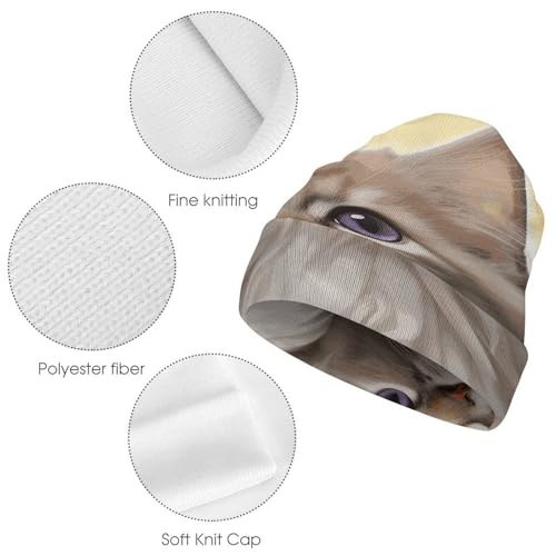 Gorro de punto de gato elástico unisex para invierno 5