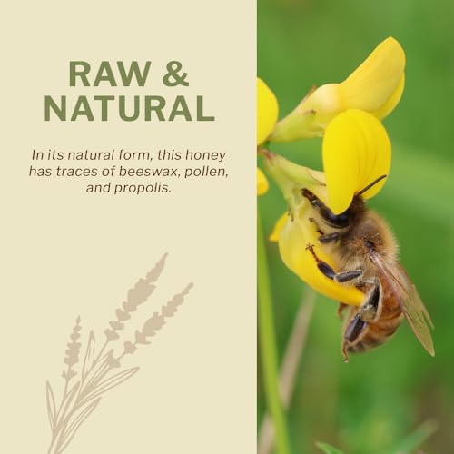 Oneroot 100% Canadian Flower Honey - 3kg / 6.6lb, Honey Wildflower Unfiltered, Unheated & Creamed, Nutrient Rich Raw Wildflower Honey With Enzymes, Thick Natural Sweetener