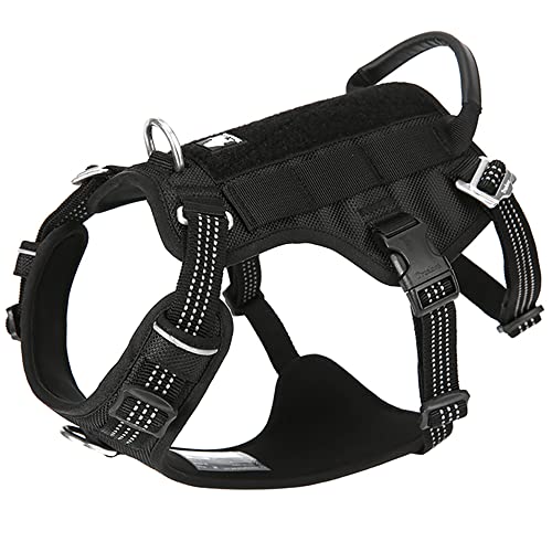 J&C Paradise PROn[lX {KX Ȃ _ug^ ȒP lIvf v X|[c ^ ^p (XL,)