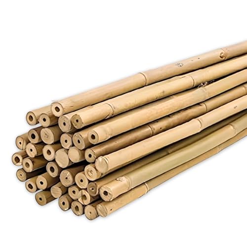 PLANTAWA Canne di Bambù 90 cm 25 Pezzi Ø 10-12 mm | Supporto per Piante, Ortaggi, Pomodori e Piante di Pomodoro | Supporti per Piante Facili da Installare - Robuste Canne di Bambù per Orto