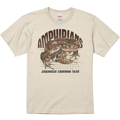 GCfBGX(MYDS) qLKGi^jރV[Y/TVc/Thx[W/ݽM