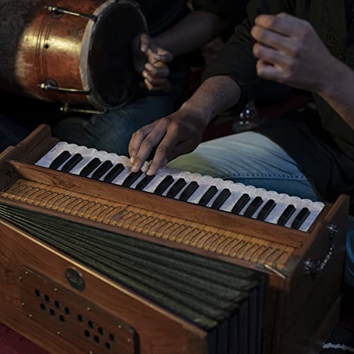 Bhava HBSTCT Studio Harmonium | Concert Teak Edition thumb #3