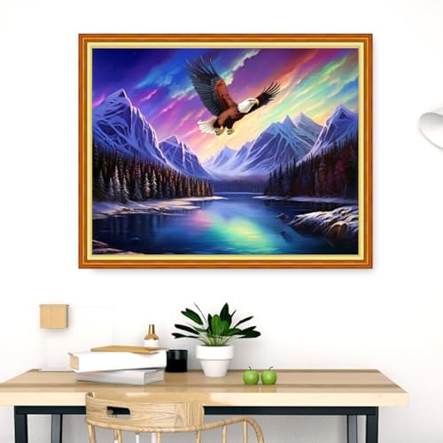 Image of Dimensean Stamped Cross Stitch Kits Full Range of Embroidery Patterns Starter Kits for Beginners Adult DIY Cross Stitches Needlepoint Kits 11CT-Aurora Lake Scenery 16x20 inch