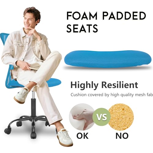 Image of BestOffice Ergonomic Office Chair Desk Chair Mesh Computer Chair Armless Back Support Modern Executive Rolling Swivel Chair with Lumbar Support（Blue）