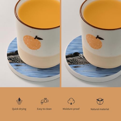 Sous-verres ronds en diatomite Loon Birds anti-trace d'eau table - 6