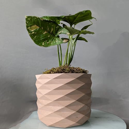 Image of Little Jungle X inchCuteCrete Luxe inch Medium Planter Houses 4 inch-5 inch Inch Nursery Pots (Pink) | | flower pots for home decoration | Balcony Decor | Garden