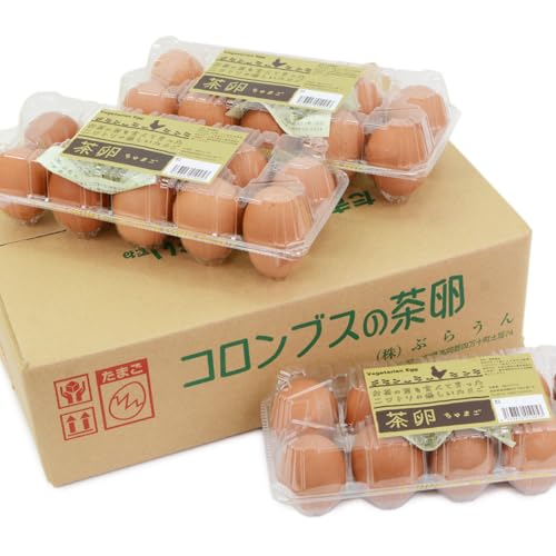 y̎|s  RuX̒ A100 RuX ܂  ܂ Z ԋ ʎq  mY l\ { 10×6pbN(60)