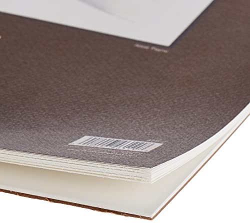 Strathmore 400 Series Bristol Paper Pad | Vellum Surface for A Broad Range of Media | Acid Free & Heavyweight Pages | for Finished Artwork | 15 Sheets, 27.9 x 35. c6m