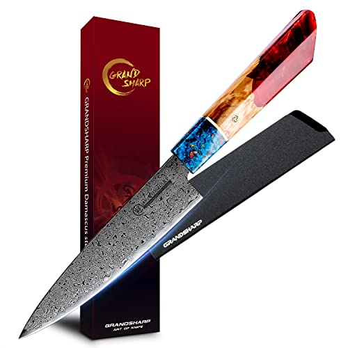 Grandsharp Damascus 5.5 Inch Paring Knife - VG-10 67 Layers Damascus Steel Fruit & Vegetable Peeling Knife with Resin Handle for Home, Kitchen & Restaurant