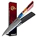 Grandsharp 14cm Couteau de Cuisine Damas, Couteau de Damas Japonais Couteaux de Chef 67 Couche Acier Couteau d'Office Couteau à Fruits Couteaux de Cuisine Professionnel