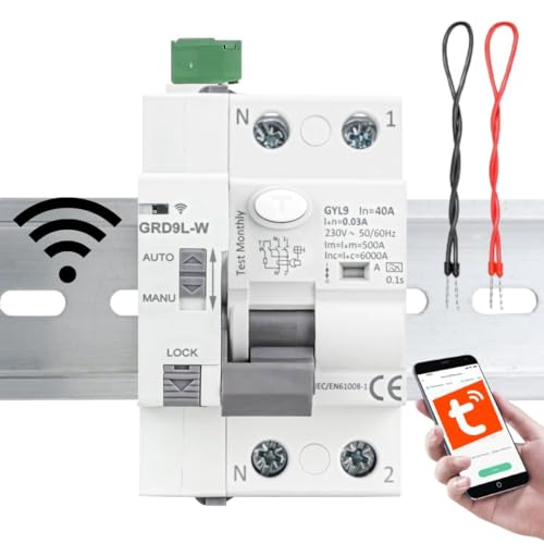 Diferencial WIFI Rearmable Superinmunizado SI 2P 40A 30mA 6Ka TIPO A. TUYA Smart. Interruptor Diferencial rearme via WIFI Super inmunizado. Disyuntor Inteligente.