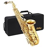 LeSage Alto Saxphone E Flat for Beginners Student School Band Alto Sax Gold Lacquer Music Instrument Saxofon With Carrying Sax Case