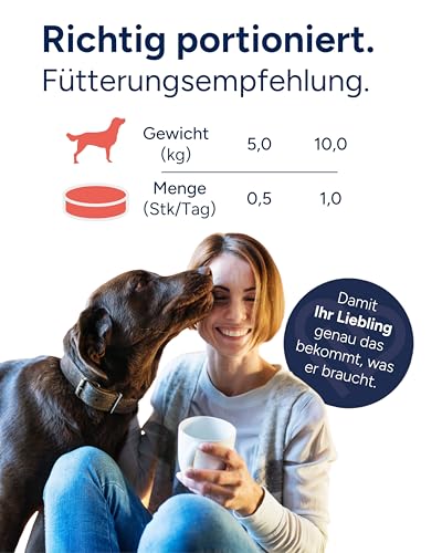 NutriLabs Dexboron® forte Hunde Kautabletten 50 STK. - Tabletten mit Teufelskralle für Hunde - Hunde Regenerationsmittel mit Weidenrinde, Weihrauchextrakt u.v.m. - Hunde Regenerationsmittel