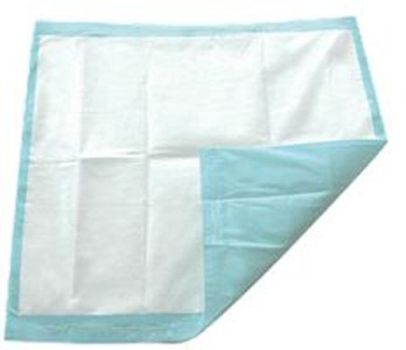 TotalDry Quilted Disposable Bedpads with Adhesive Strips, 30x36, case of 100 by TotalDry