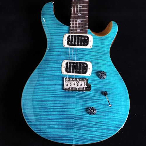PRS SE Custom24 Blue Matteo Natural Back �G���L�M�^�[ �|�[�����[�h�X�~�X(Paul Reed Smith)
