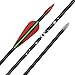 Archery Recurve Bow Arrows Fiberglass Arrow 26 Inch Hunting Shooting Practice Target for Beginners Kids Youth Sport Outdoor(Pack of 12)