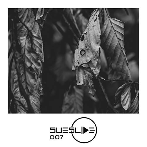 Amazon Brave Ascent Stephan Zovsky And Fivep Digital Music