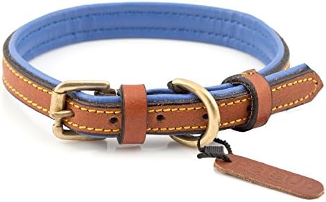 PetsUp Padded Leather Dog Collars (Small, Royal Collar- Tan/Blue)