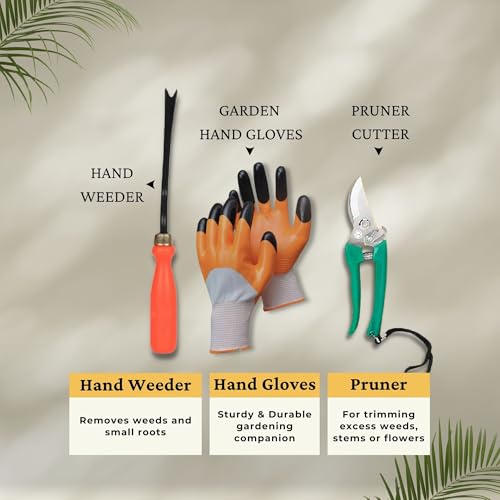 Bombay Greens 6 in 1 Garden Tools Set | Home Gardening Kit| Cultivator | Fork | Trowel | Weeder | Garden Gloves | Pruner Cutter Gardening Kit