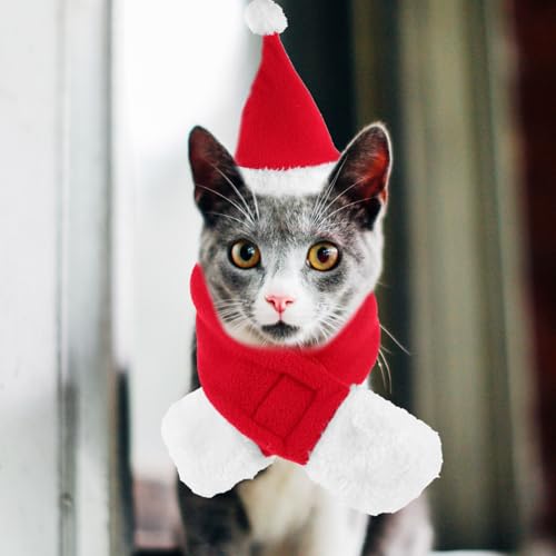 Disfraz navideño para perro Ipetboom, set de sombrero y bufanda miniatura 3