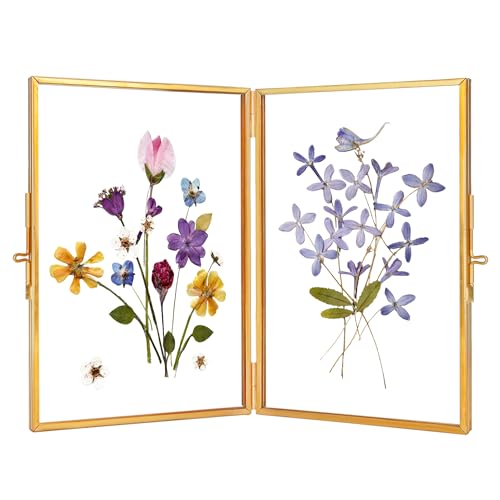REDHUGO Glass Pressed Flower Frame Handmade Hinged Double Press Flower Frame Tabletop Brass Photo Frames Rectangle Dried Flowers Display Folding Frames for Home Gold 46 Inches