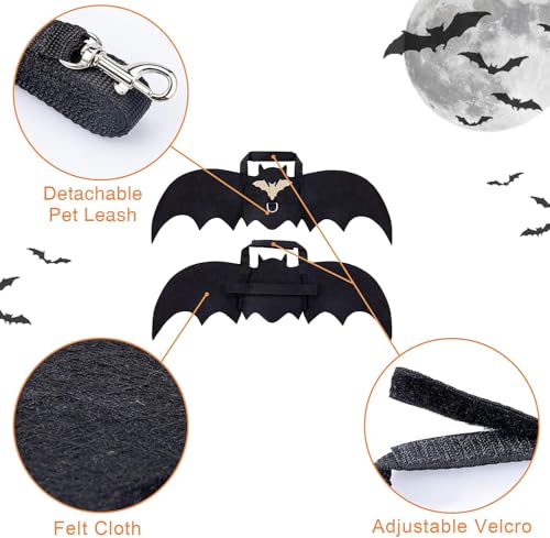 Haustier Fledermausflügel,Hund Fledermaus Kostüme mit 2Pcs Pumpkin Bell,Katze Fledermaus Kostüm,Halloween Katze Kleidung,Halloween Haustier Kostüm,Haustiere Cosplay-Kostüm(Schwarz)