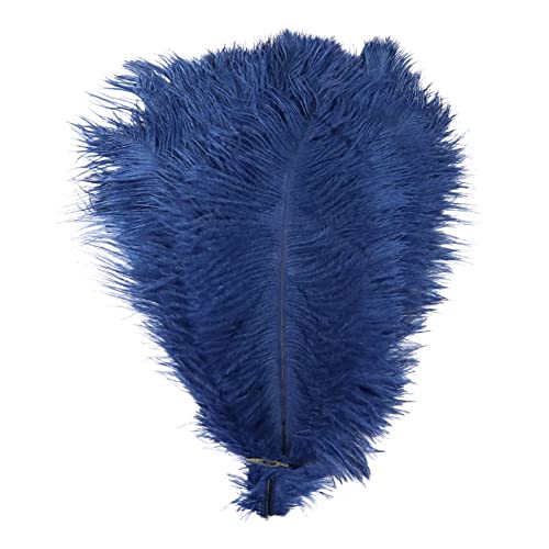 10PCS Ostrich Feathers, 10-12inch (25-30cm) Ostrich Feathers Plumes Bulk for DIY Crafts Wedding Party Centerpieces Home Table Decorations