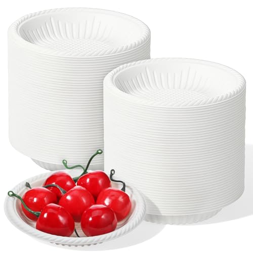 SHENLIU 300 Count Small Paper Plates 4 Inch Disposable Round Paper Plates Bulk Heavy Duty Mini White Tableware for Dinner Cake Appetizer Holiday Birthday Wedding Christmas Party Supplies