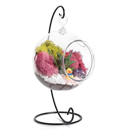 Creations by Nathalie - DIY Hanging Acrylic Terrarium Kit for Kids, Metal Stand, Reindeer Moss, Crystals, Rocks, Tools & Figurine – Complete Plant Terrarium Starter Set