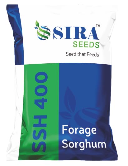 Sira Seeds SSH 400 Forage Sorghum Hybrid Seeds 1Kg, High Biomass Yield, Drought-Tolerant, Ideal for Dairy Silage-image-37