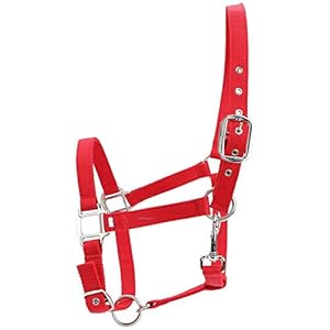 Paard Halster 6Mm Verdikte Rode Kleur Verstelbare Paard Hoofdstel Halster Rij-Accessoires