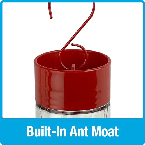 Nature's Way Hanging Glass Hummingbird Feeder for Outdoor Décor, 20 Ounce Capacity Nectar Feeder, Ant Moat, 5 Easy to Clean Flexible Ports, Red by NATURE'S WAY - Used condition - Image 2