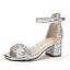 Silver Sequin