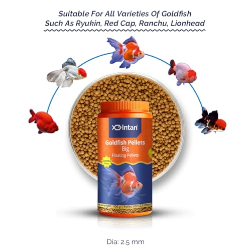 Image of Intan Goldfish Pellets Fish Food | Big Floating Pellets for Fish| Daily Nutrition Fish Feed for Health & Growth | Jumbo Pack 400 Gm, Pellet Size - 2.5 mm Dia, Pack of 1,All Life Stages