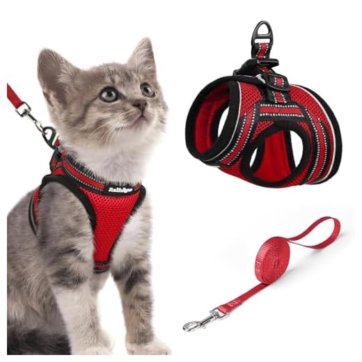 rabbitgoo Arnes Gatos y Correa 150cm Chaleco Ajustable Antitirones Reflectante Cómodo Correa Mágica para Fácil de Poner y Quitar para Paseo Diario Arnes para Perro Pequeño Conejos Gatos S Rojo